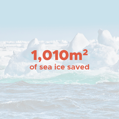 1,010 m² of sea ice saved