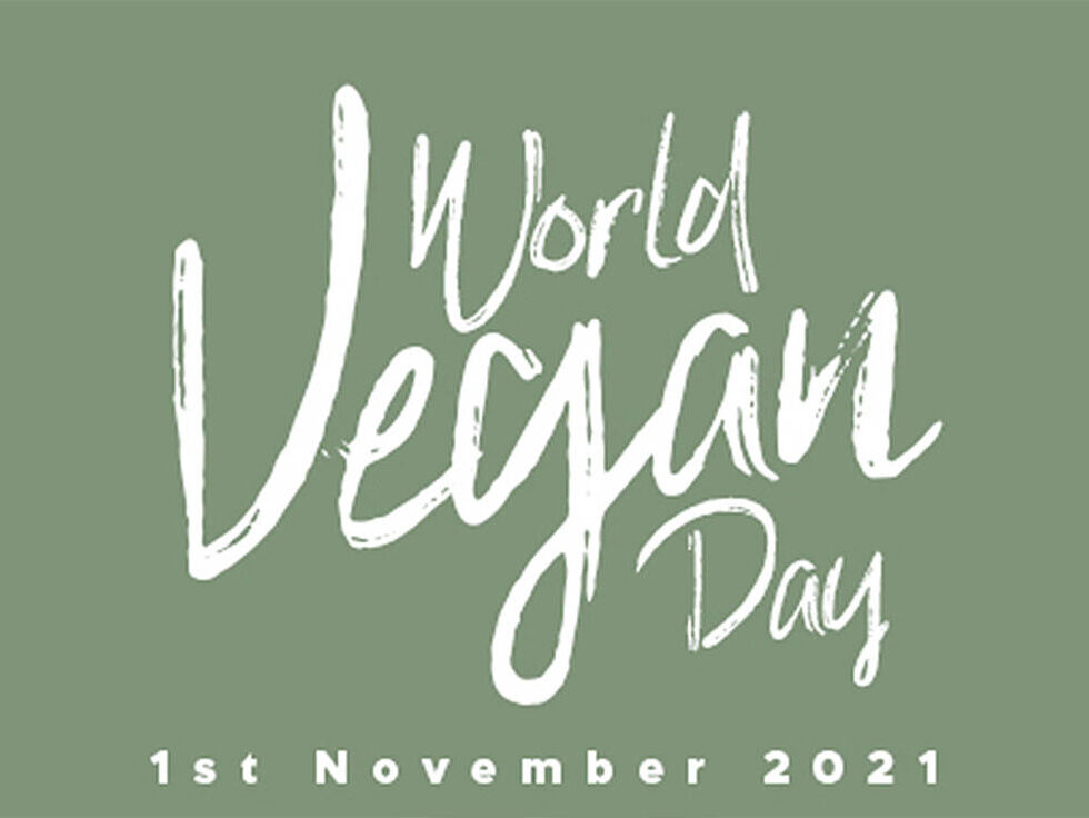 World Vegan Day 2021: Our Best Vegan T-shirts and More!