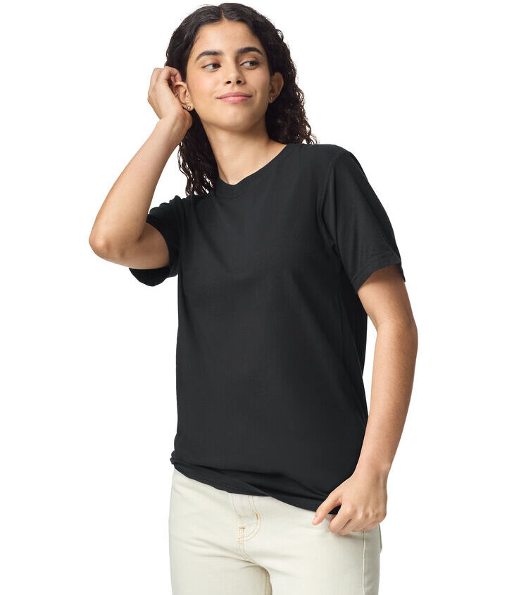 Comfort Colors Heavyweight Adult T-Shirt 1717