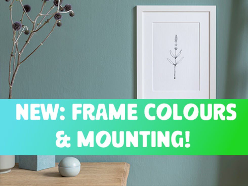 11 frame colours, mounts and new prices from 14 September