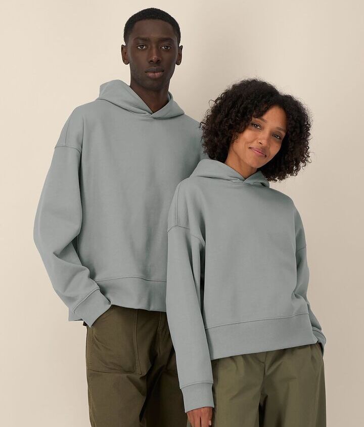 Stanley/Stella Voicer