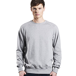 Men's Organic Raglan Sweatshirt