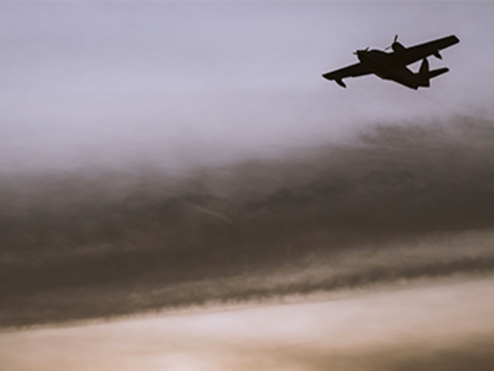 It's the last week to order for shipping in time for Christmas